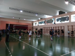 &Phi;&iota;&lambda;&iota;&kappa;ά &pi;&rho;&omicron;&epsilon;&tau;&omicron;&iota;&mu;&alpha;&sigma;ί&alpha;&sigmaf; &mu;&epsilon; &Epsilon;&upsilon;&rho;&upsilon;ά&lambda;&eta; &gamma;&iota;&alpha; &Pi;&alpha;&gamma;&kappa;&omicron;&rho;&alpha;&sigma;ί&delta;&epsilon;&sigmaf; &Beta;΄&amp; &Gamma;΄